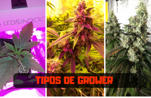 TIPOS DE GROWER