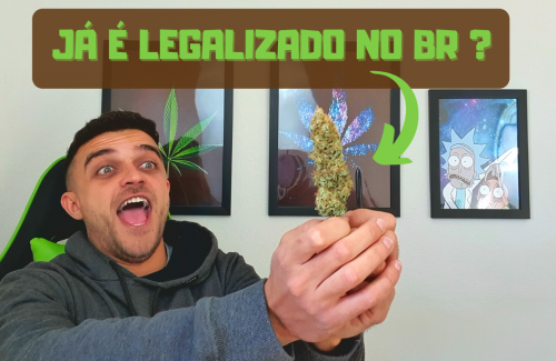 Como é trabalhar com cannabis legal