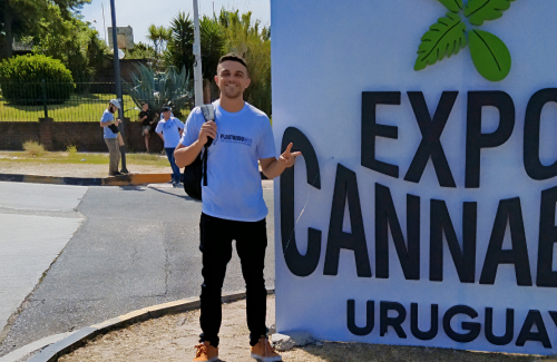 Vou mudar para o Uruguai em busca da legalização?